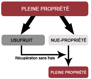 principe-nue-propriete